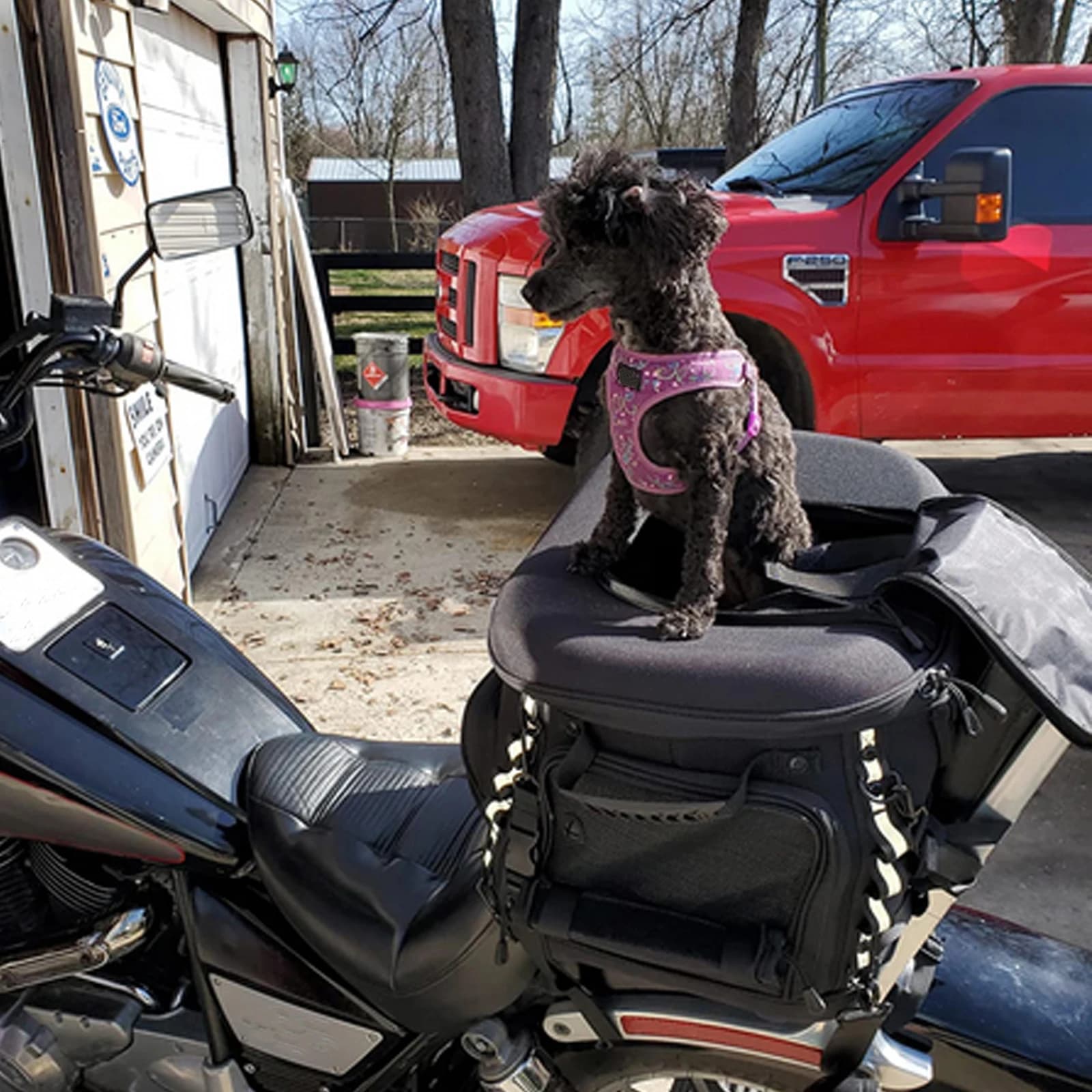 Sac de support d'équitation pour moto, étui pour chien, étui pour animal de compagnie, accessoires p