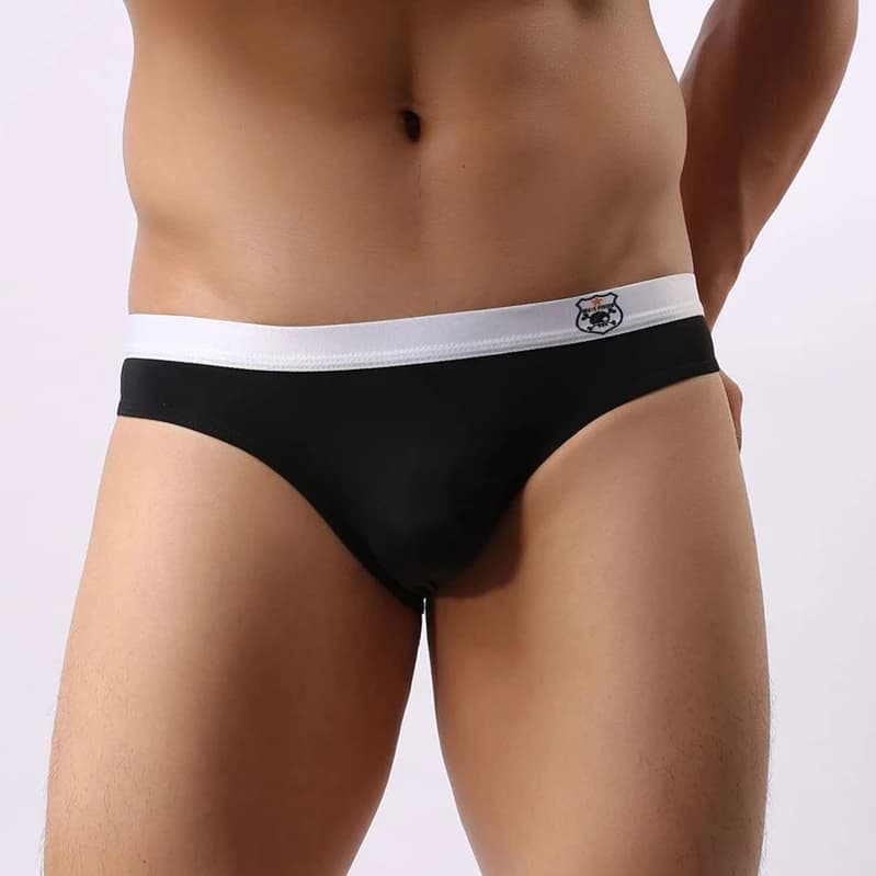 Sous-vêtements pour personnes couragées pour hommes, slip Sexy taille Ultra basse, maillot de bain e