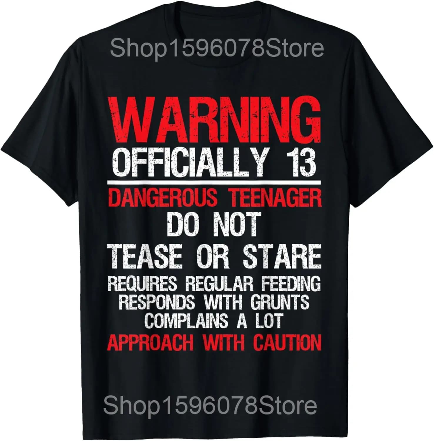 Officiel adolescent 13th anniversaire cadeau Vintage rétro t-shirts hommes Streetwear t-shirt à manc