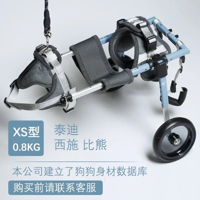 Fauteuil roulant de luxe pour chien, pour jambes arrière, paralysie des membres arrière, rééducation