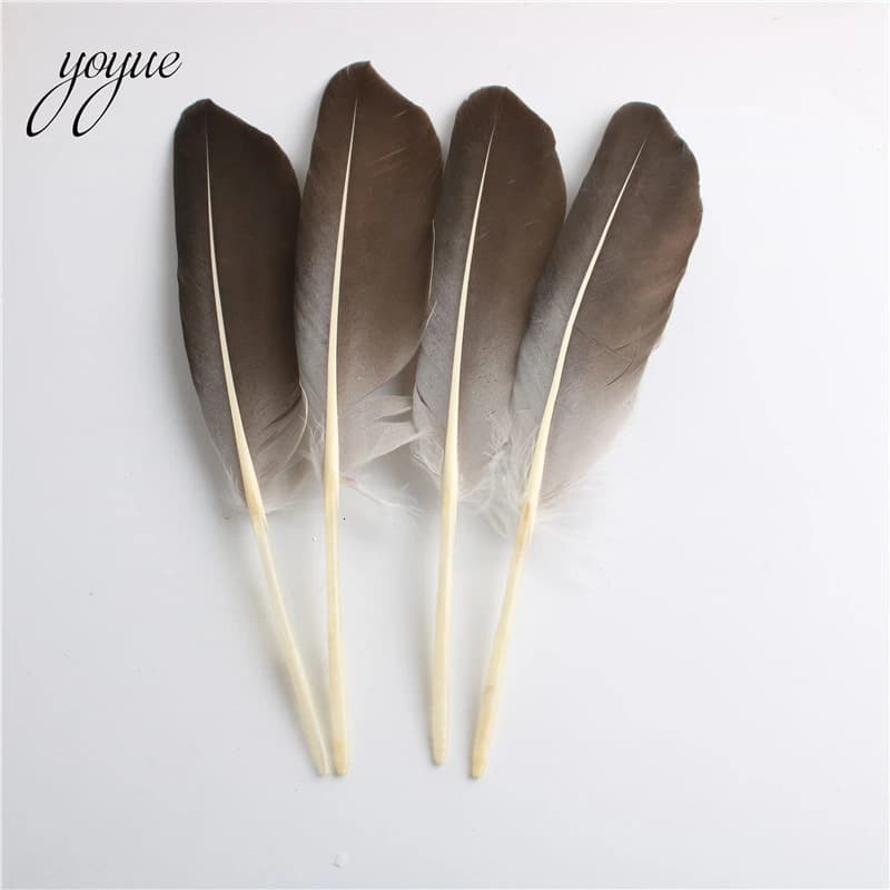 Nouveau 10 pièces/lot plume d'oie naturelle 12-14 pouces/30-35cm plumes pour artisanat Plume vêtemen