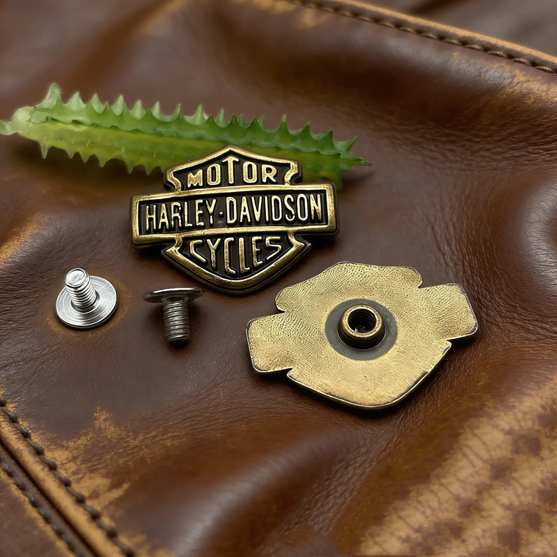 Accessoires décoratifs pour Harley Davidson : boucle de ceinture, badge de moto, bouclier, pour port