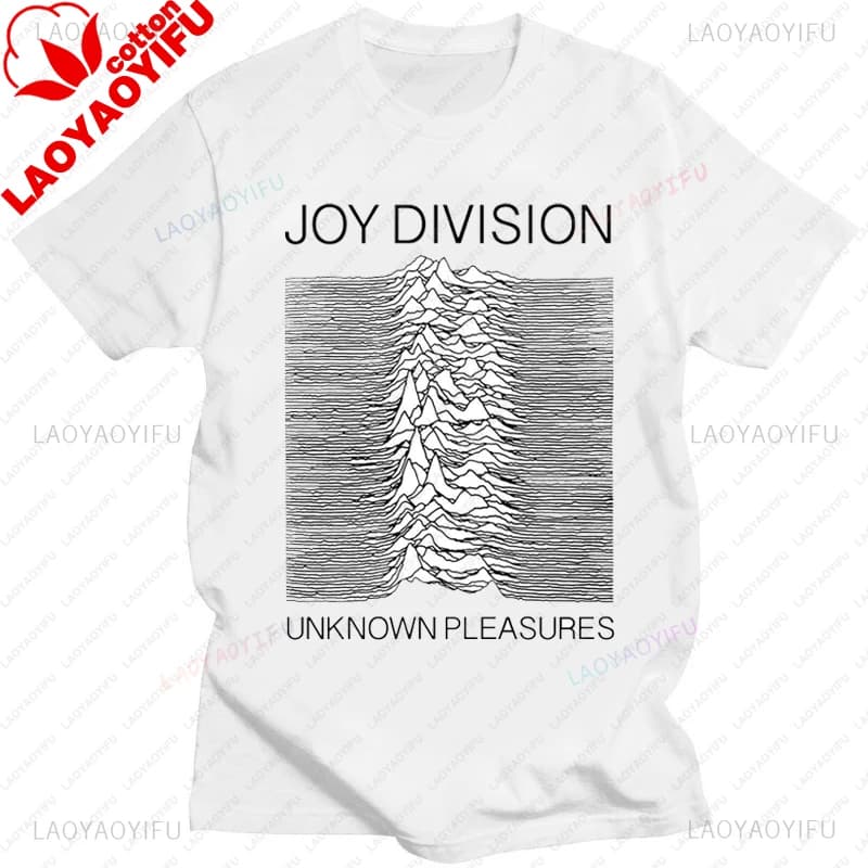 JOY DIVISION WILL TEAR US APART homme T-shirt POST PUNK nouvelle commande T-shirt hommes mode d'été
