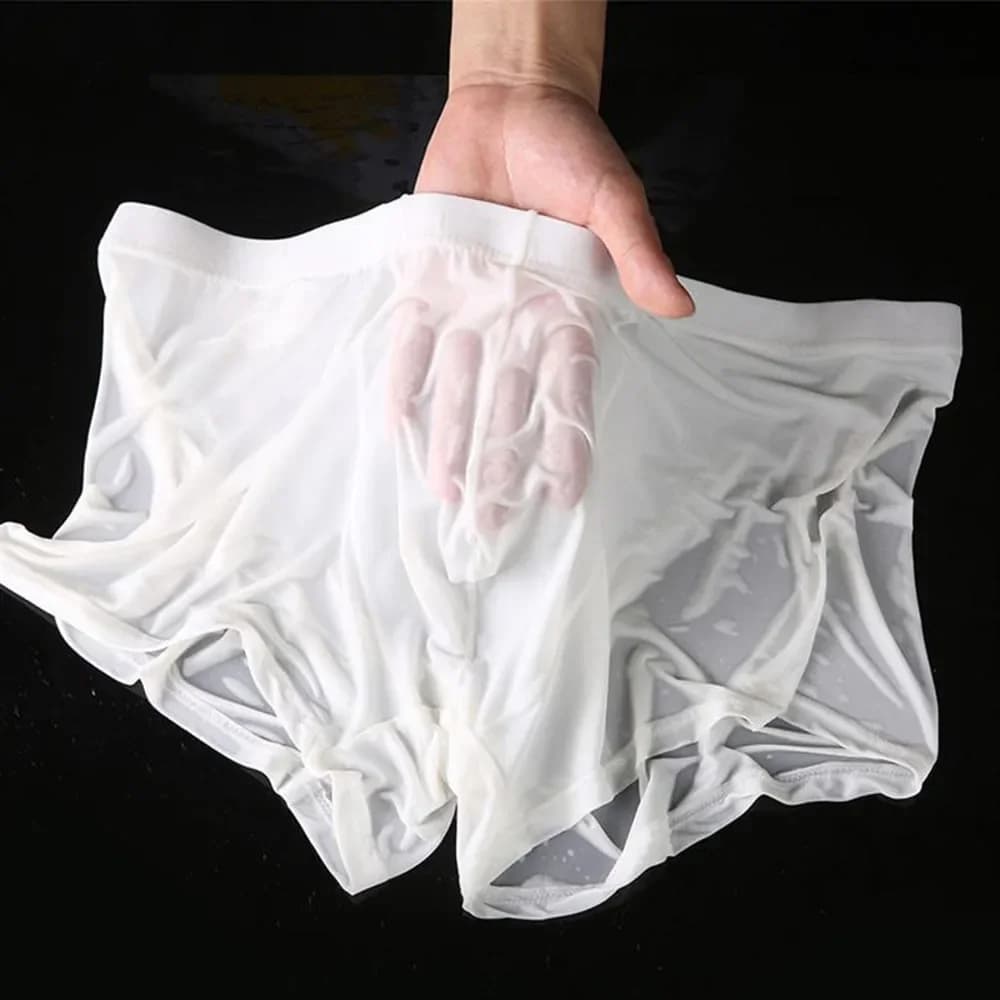 Sous-vêtements sexy en maille transparente pour hommes, slips fins, culottes séduisantes, maillots d