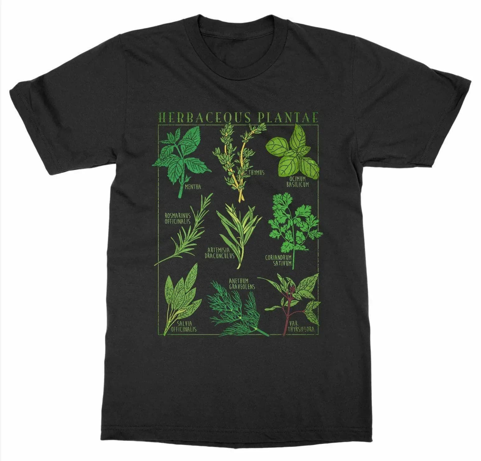 T-shirt imprimé de plantes de jardin botanique pour hommes, t-shirt d'herbes, art de la botanique, f