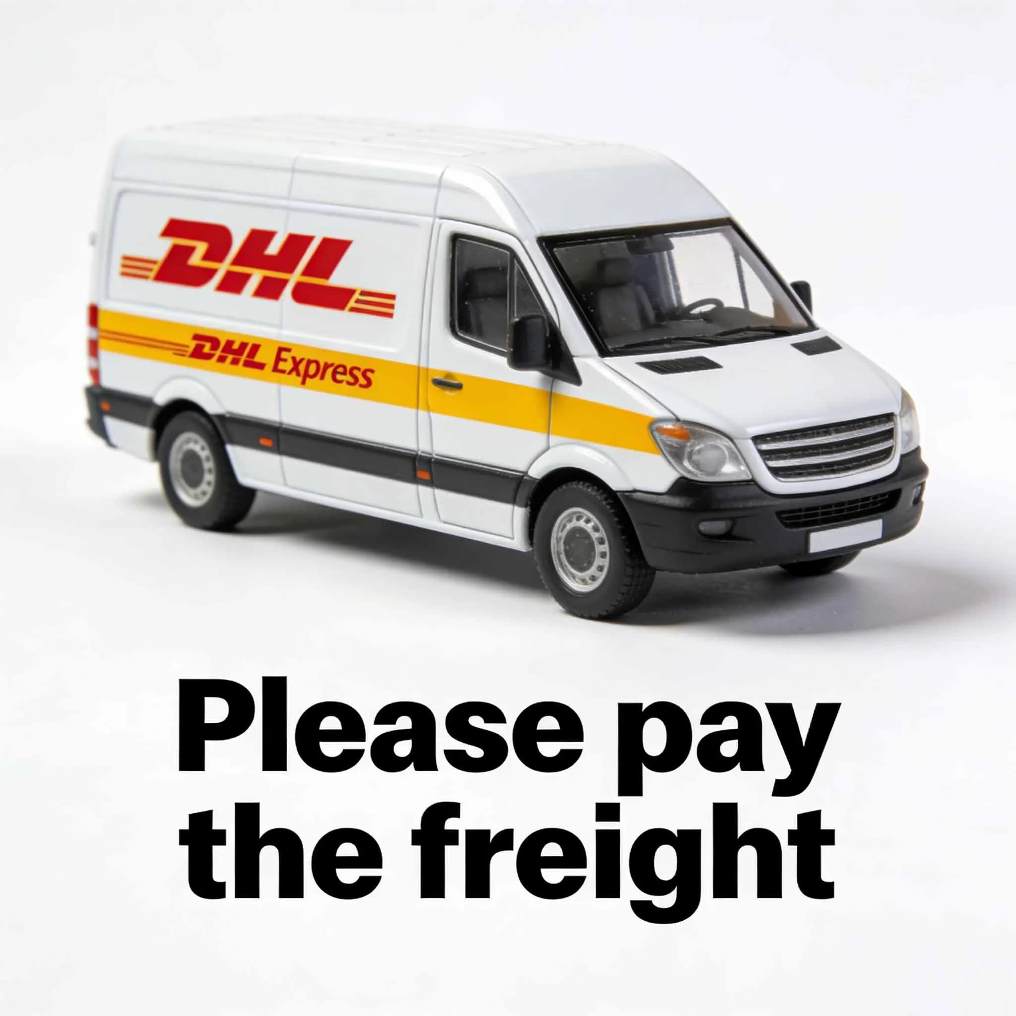 Ceci est un lien permettant aux clients de payer les frais d'expédition DHL ou Fedex.
