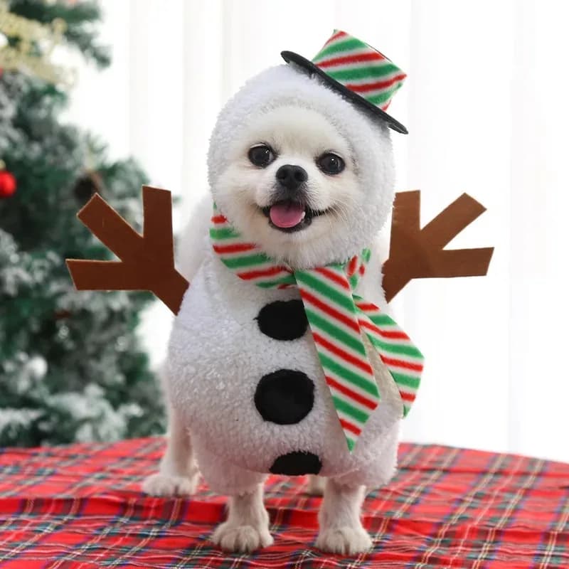 Vêtements de noël pour animaux de compagnie, déguisement pour chien, Costumes de bonhomme de neige, 