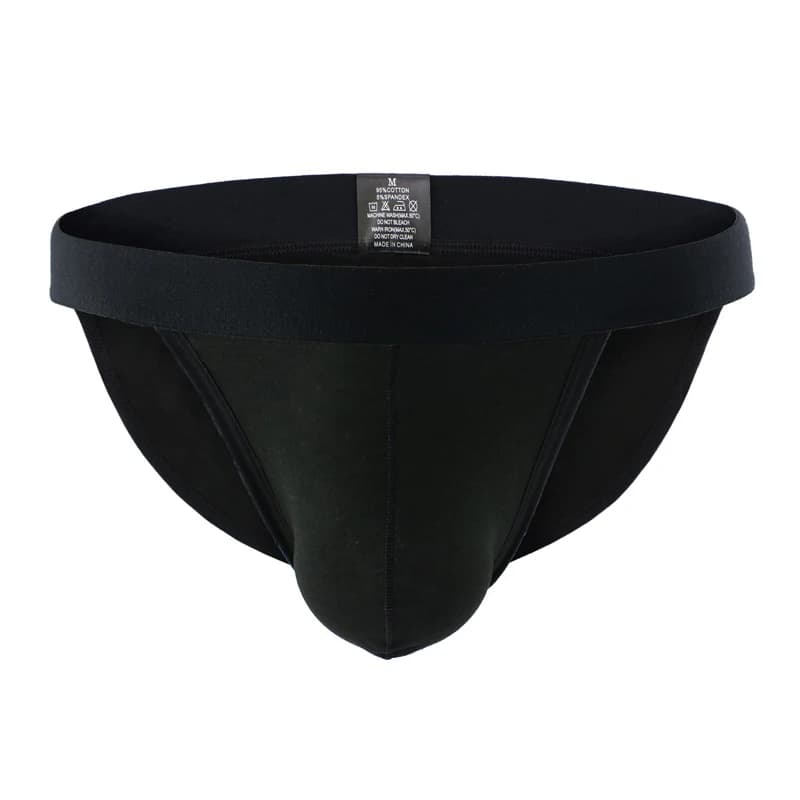 Sous-vêtements Sexy hommes slips Shorts Homme coton caleçon Homme U poche convexe taille basse culot