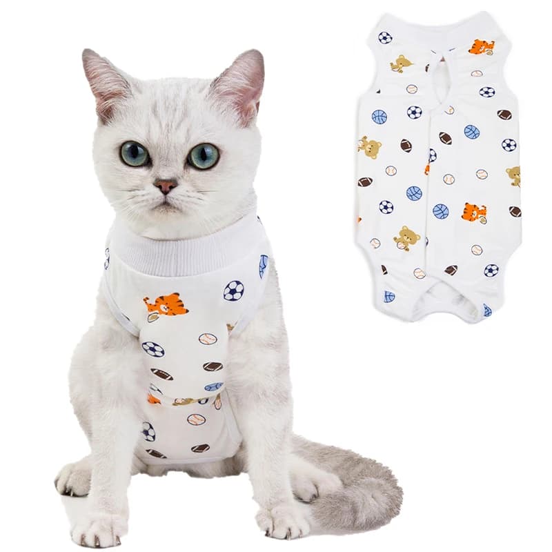 Combinaison de récupération chirurgicale pour chat, pour blessures anti-léchage ou maladies cutanées