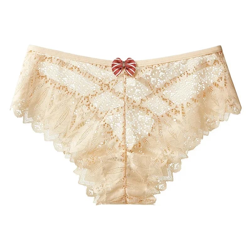 Culotte en dentelle transparente pour femmes, sous-vêtements Sexy, Lingerie douce et confortable, sl