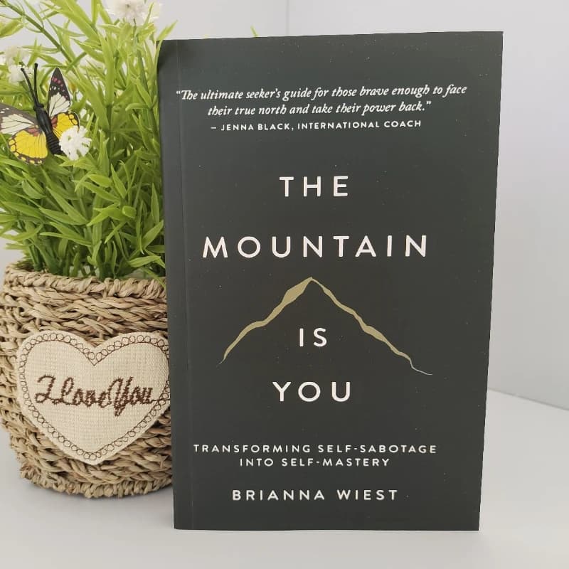 Mountain Is You : Version anglaise du livre Mountain Is You : Autotransformation, livres en anglais,
