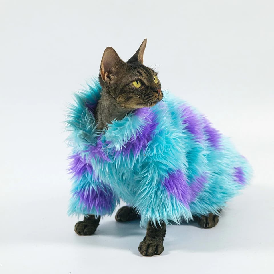 FATHIN plus chaud épaissi chat pull vêtements d'hiver bleu Violet veste confortable doublé polaire