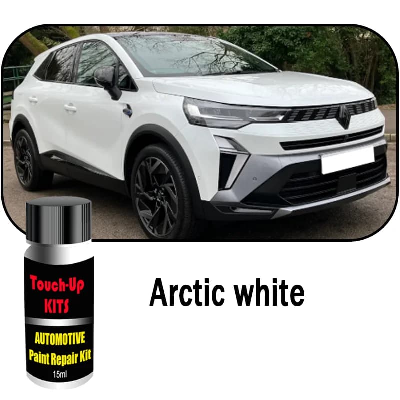 Kits de retouche de peinture de voiture personnalisés pour Renault Symbioz, dissolvant de rayures, a