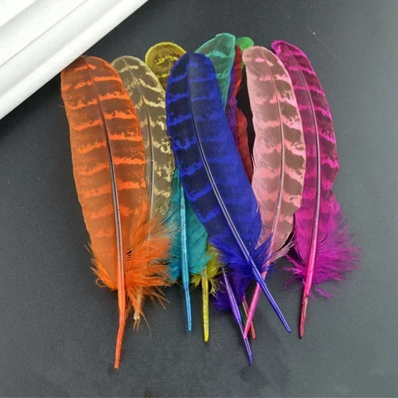 Plumes Naturelles de Faisan Jetables pour Cardouzaine, Accessoires pour Vêtements Artisanaux, Décora