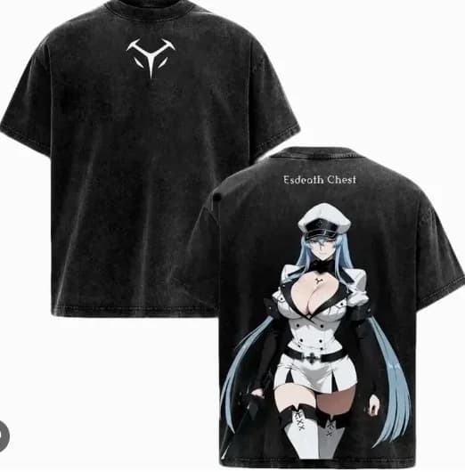 Akame ga Kill! T-shirt délavé personnalisé, Nouveau modèle, T-shirt Anime, Grande taille, Unisexe, C