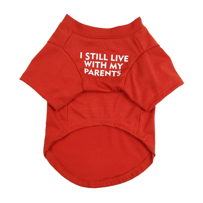 T-shirt en Coton Respirant avec Lettres Imprimées pour Petit et Moyen Chien, Vêtement pour Animaux d