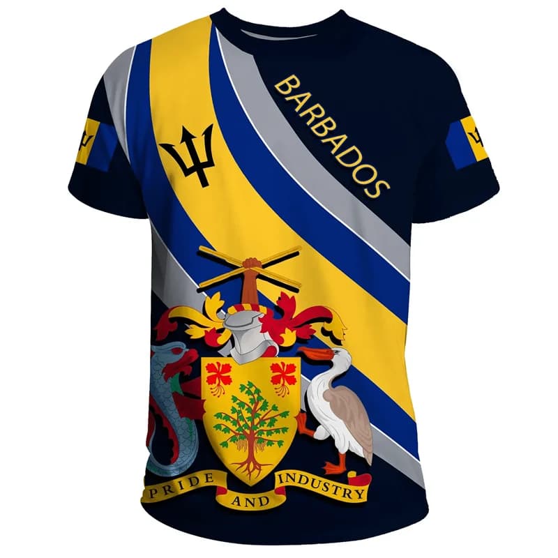 T-shirt graphique sensation de Barbade pour hommes, vêtements College en 3D, t-shirts sportifs d'ext
