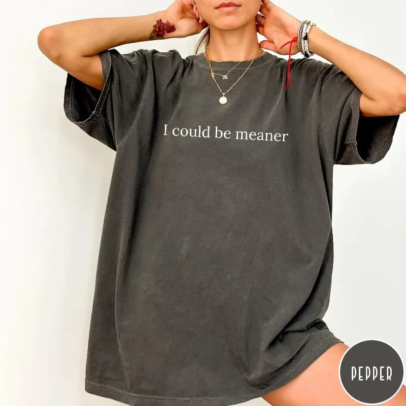 Je pourrais être plus méchant T-Shirt, T-Shirt Vintage, T-Shirt Oversize Minimaliste, T-Shirt Graphi