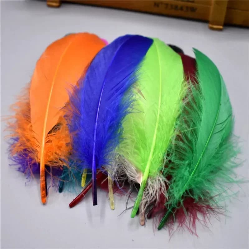 Plumes d'oie noires naturelles authentiques pour l'artisanat, 5-7 pouces/13-18 cm, fabrication de bi