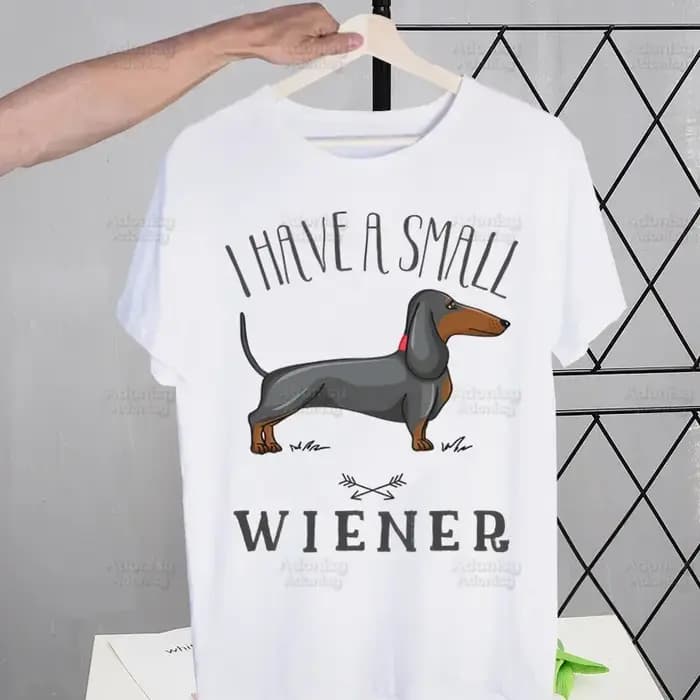 Anatomie teckel chien je fais ce que je veux t-shirt hommes rétro lavé hauts T-shirts Harajuku