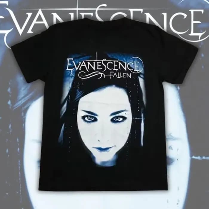 Vintage groupe de Rock Style métal lourd Evanescence graphique t-shirts femme homme haute qualité coton T-shirt musique Ropa Hombre