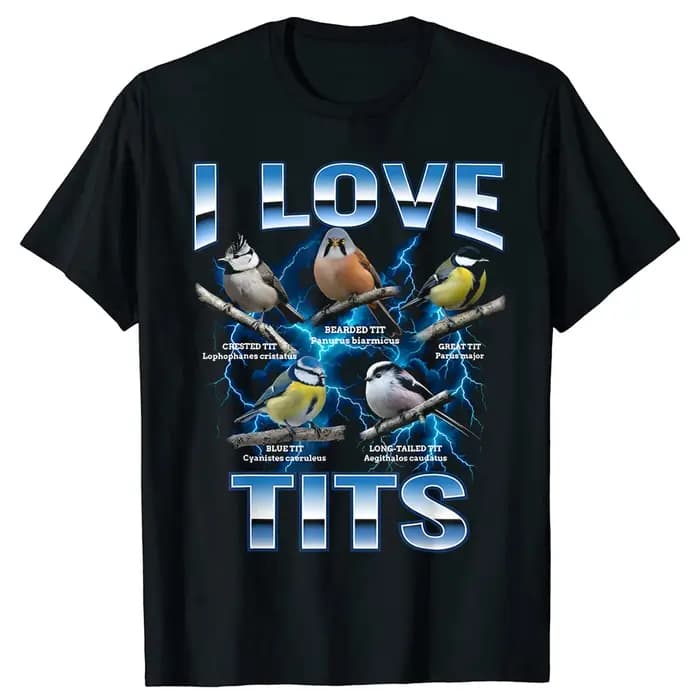 Drôle oiseau Meme j'aime les seins observation des oiseaux rétro T-shirts hommes imprimer t-shirt ample surdimensionné