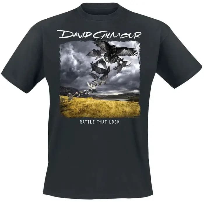 DSOTM 1972 Pink Floyd Band T-Shirt 100% coton