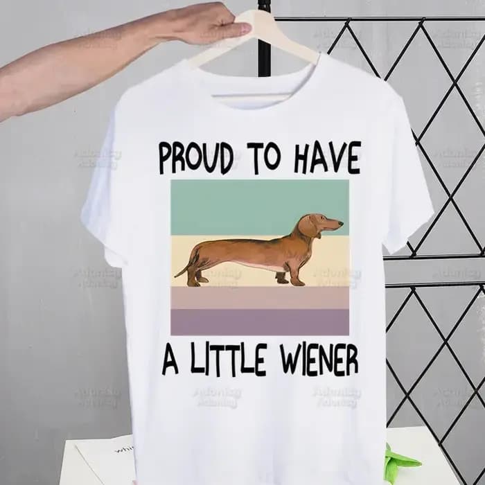 Anatomie teckel chien je fais ce que je veux t-shirt hommes rétro lavé hauts T-shirts Harajuku