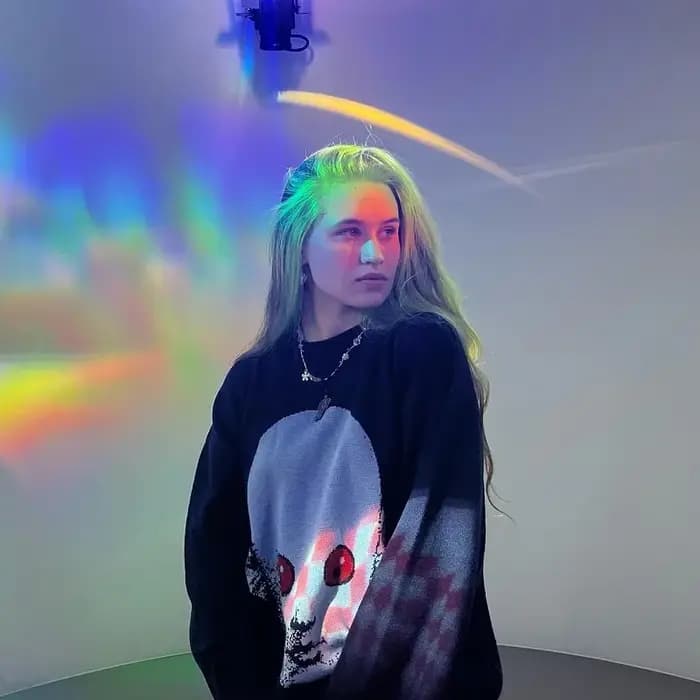 Européen et Américain Nouveau Hip Hop Rue Pull Tricoté Hommes Gothique Imprimé À Capuche Automne Harajuku Pull À Capuche