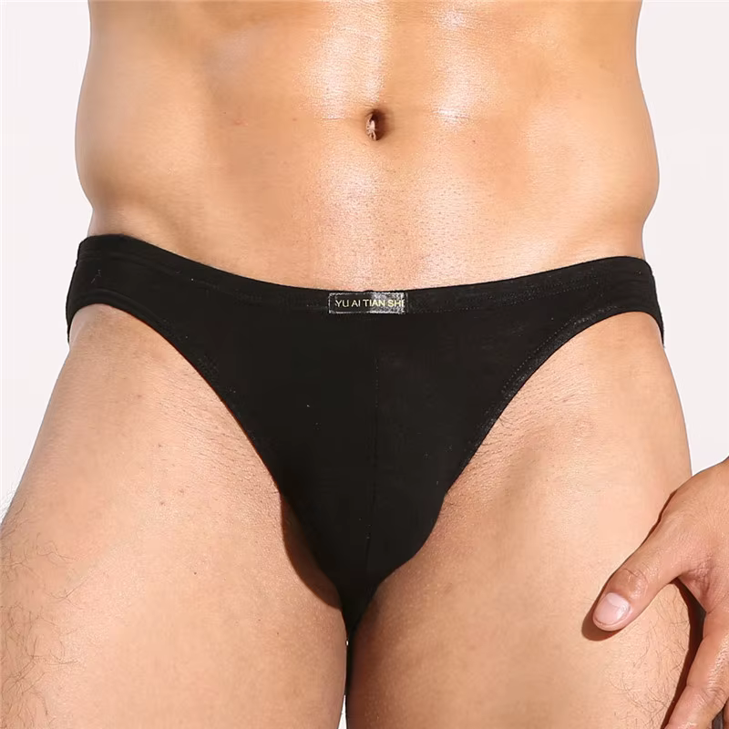 Sous-vêtements en modal pour hommes, slips pour hommes, culottes sexuelles taille basse, U convexe, 