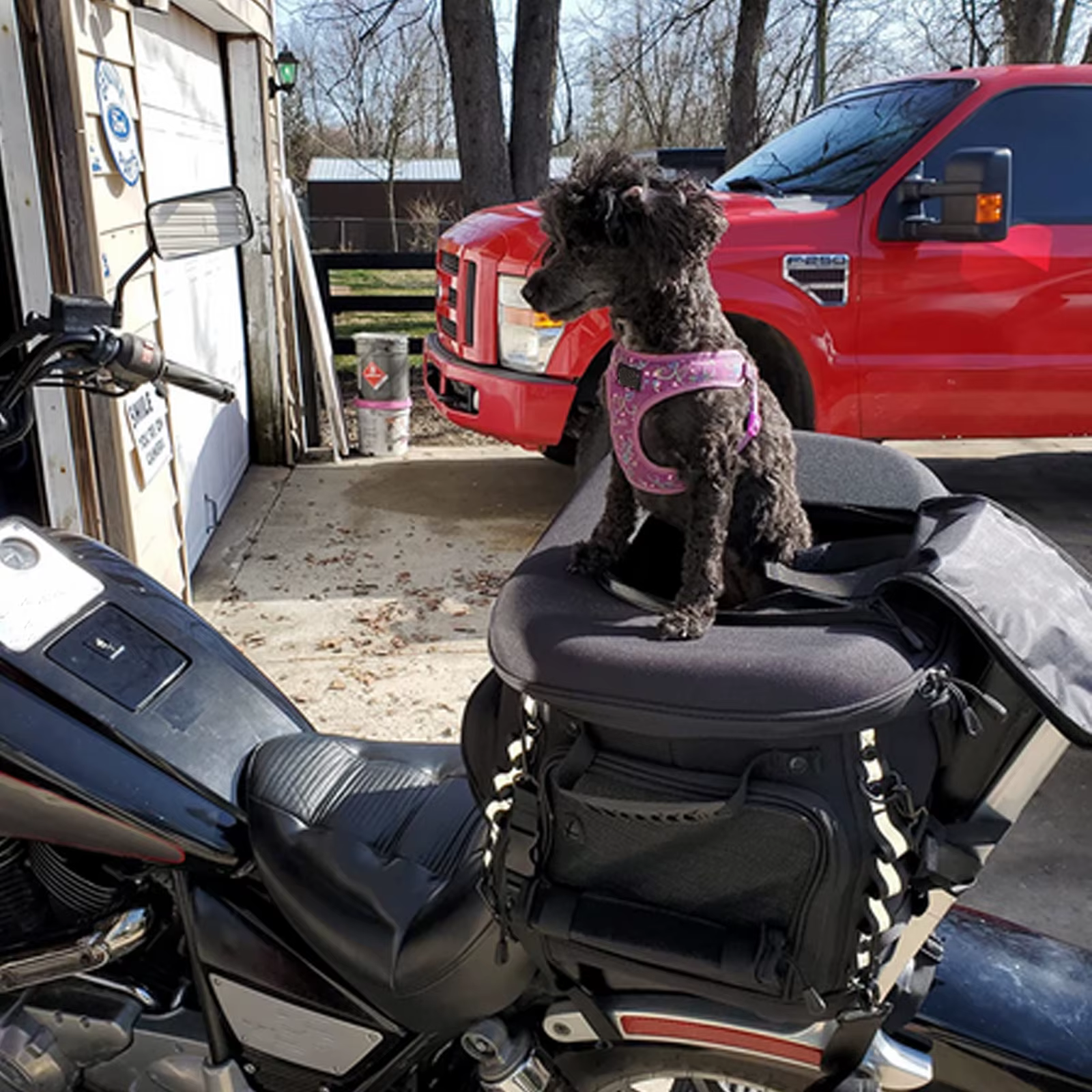 Sac de support d'équitation pour moto, étui pour chien, étui pour animal de compagnie, accessoires p