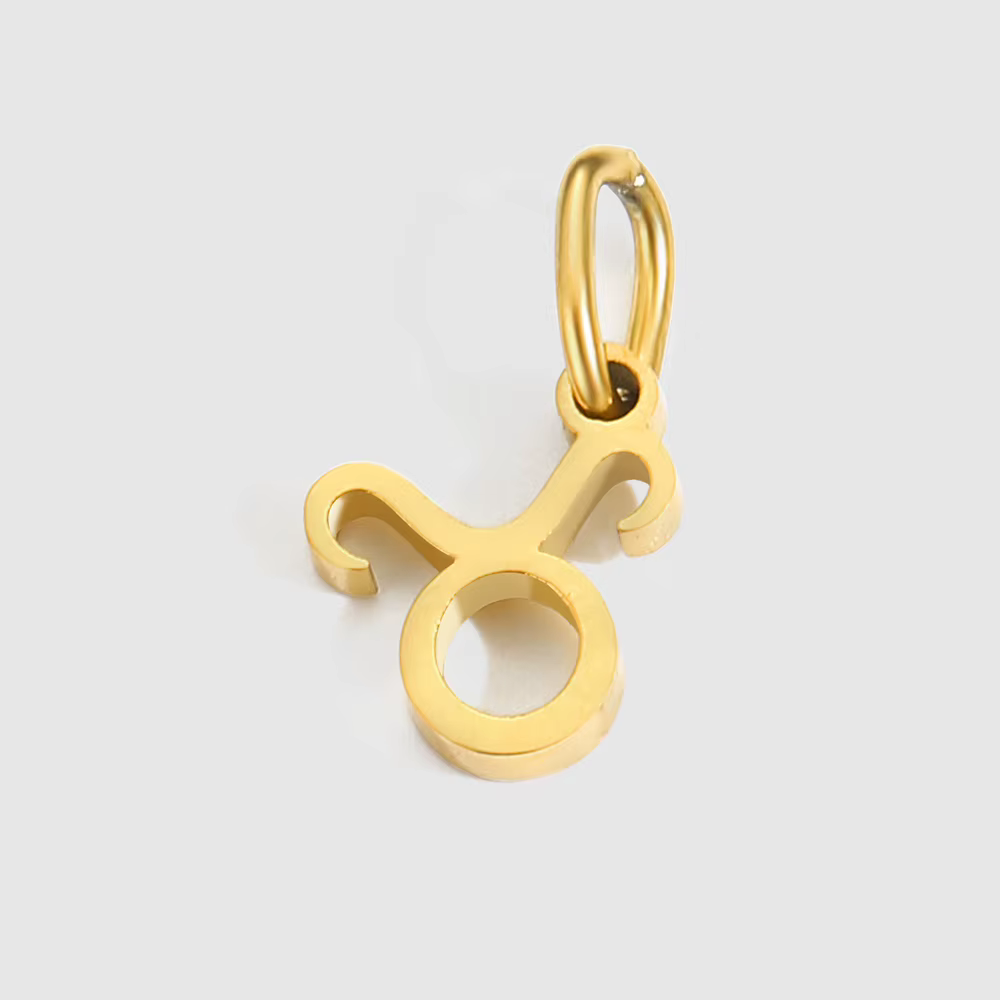Pendentif 12 signes du zodiaque, accessoires, collier Constellation en acier inoxydable, cadeau d'an