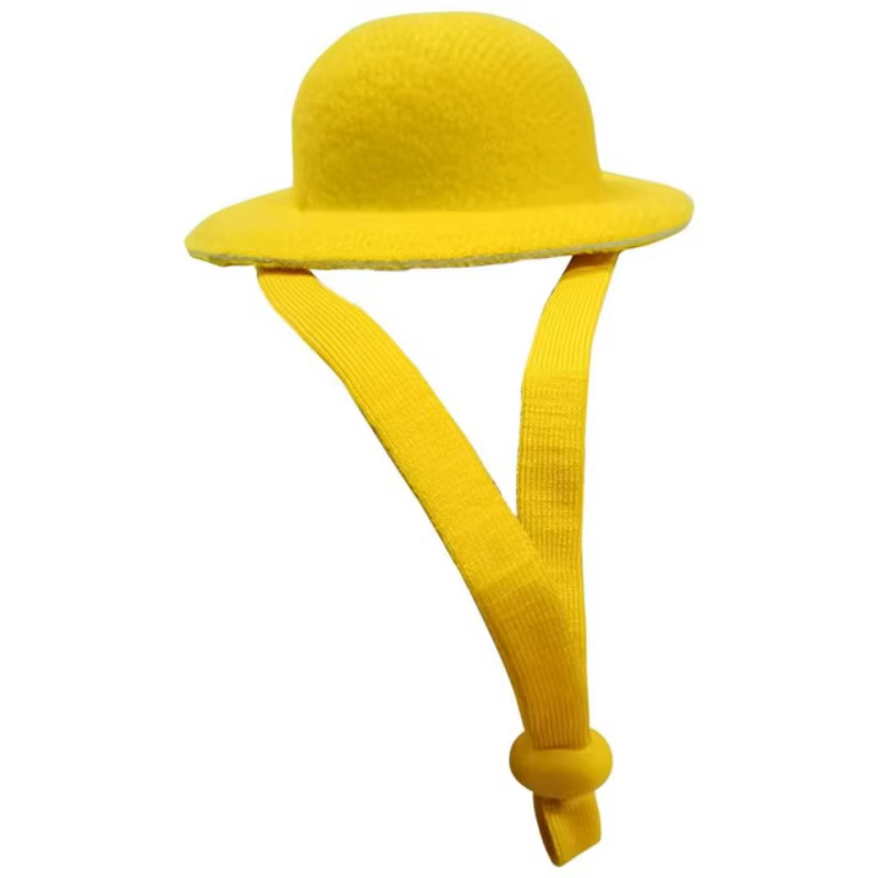 Chapeau de poulet pour poules, petits animaux de compagnie, accessoires de poulet amusants, chapeau 