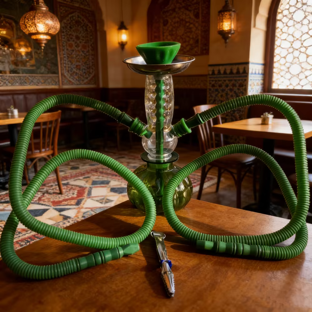Ensemble de narguilé Shisha en acrylique avec Double tuyau en Silicone avec pince à charbon de bois 