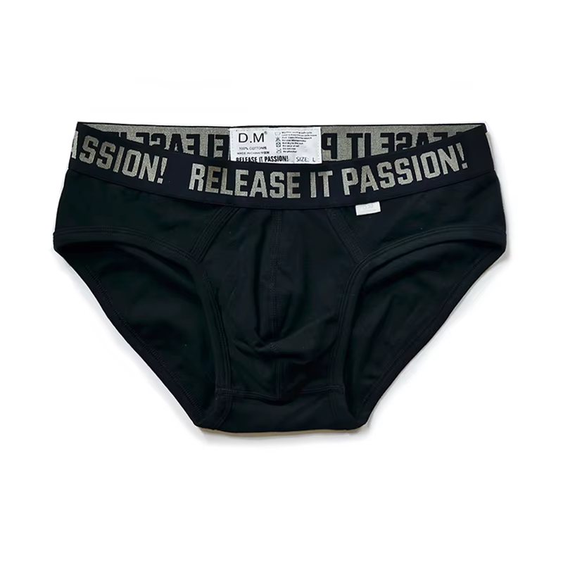 Slip taille basse pour hommes, sous-vêtements pour hommes, gay, solide, sexy, sport
