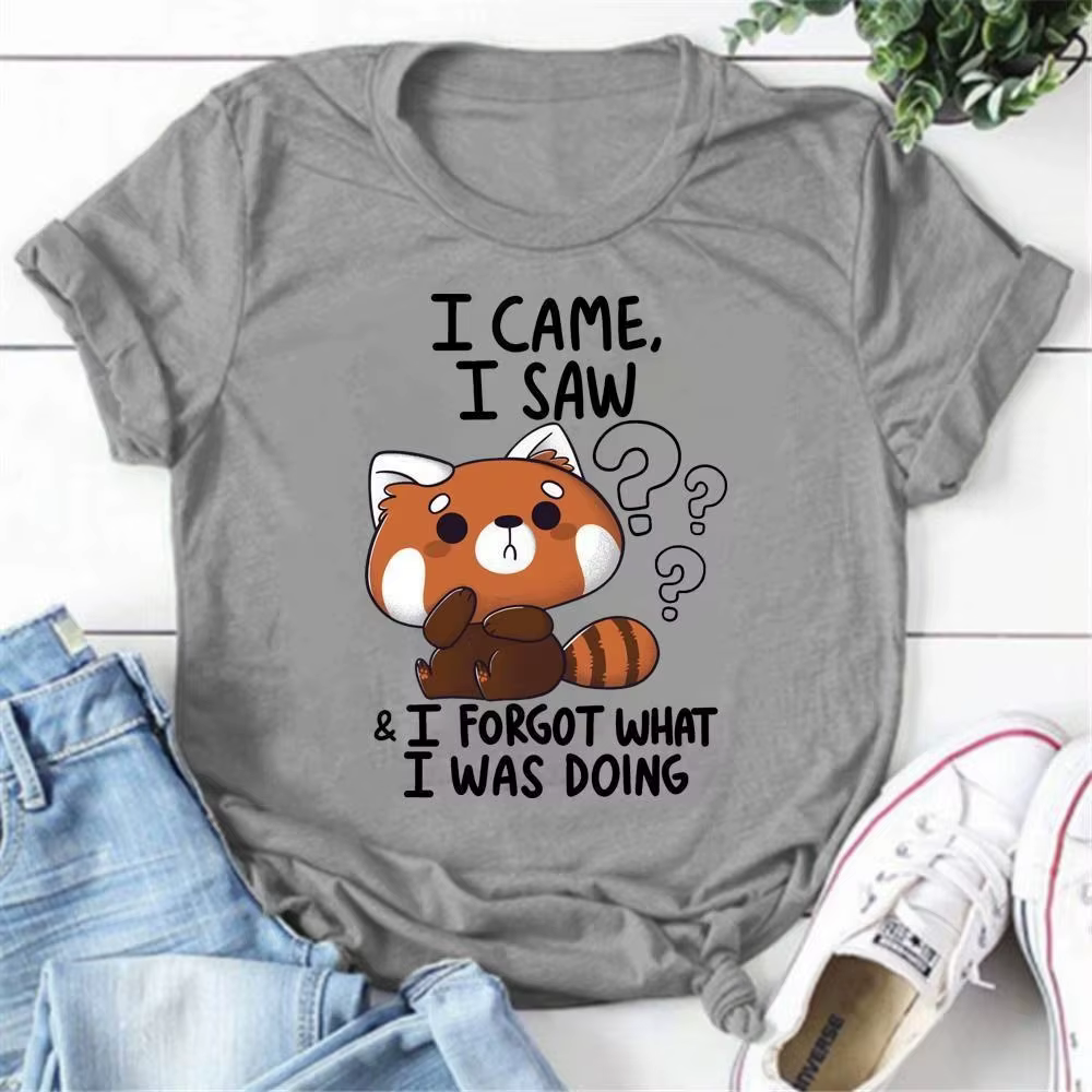 T-shirts pour femmes avec motif de raton laveur 'I Came I Saw', tee-shirt d'été décontracté à manche