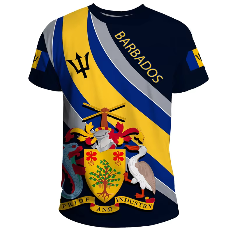 T-shirt graphique sensation de Barbade pour hommes, vêtements College en 3D, t-shirts sportifs d'ext
