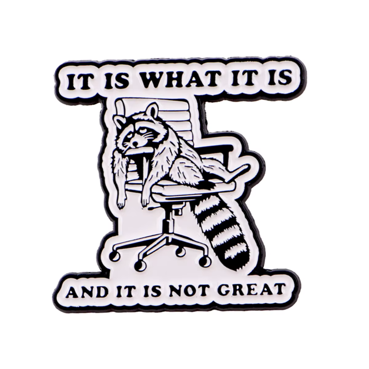 IT IS WHAT IT IS – épingles à revers en émail pour sacs à dos, broches de raton laveur pour femmes, 