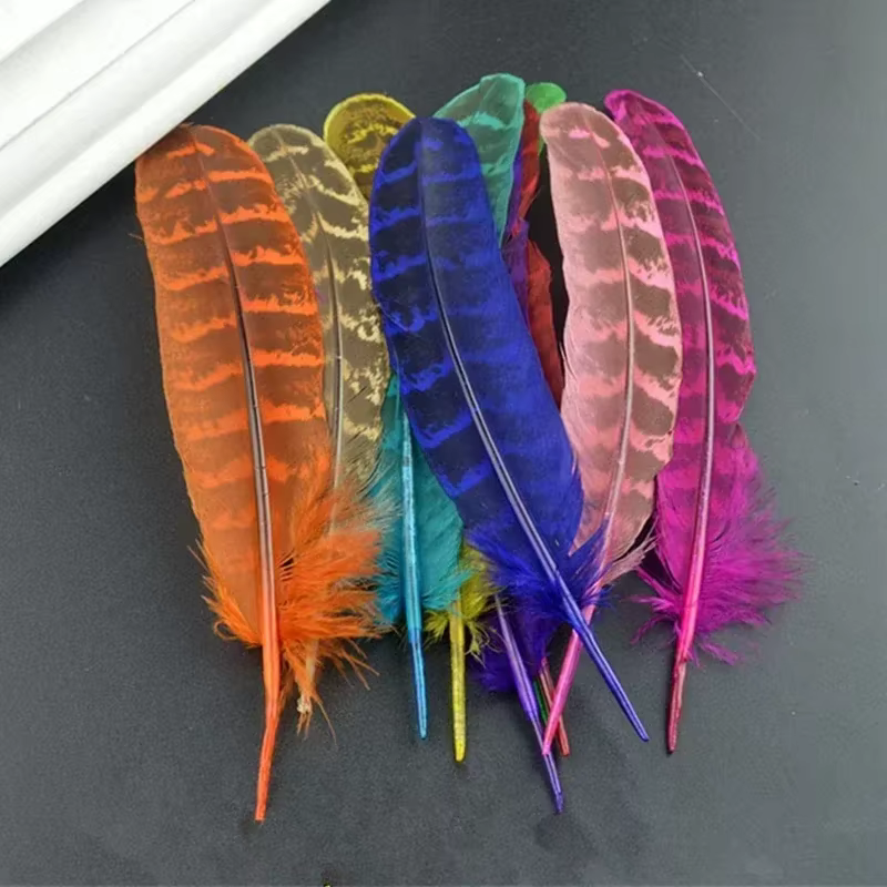 Plumes Naturelles de Faisan Jetables pour Cardouzaine, Accessoires pour Vêtements Artisanaux, Décora