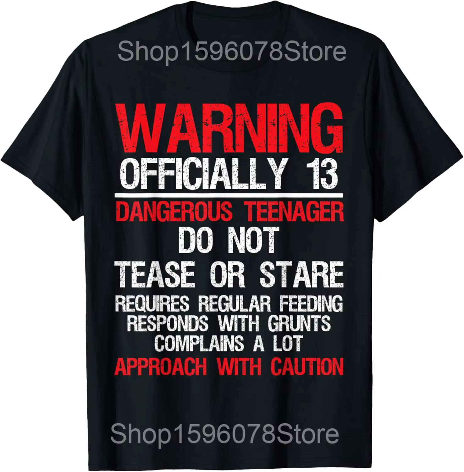 Officiel adolescent 13th anniversaire cadeau Vintage rétro t-shirts hommes Streetwear t-shirt à manc