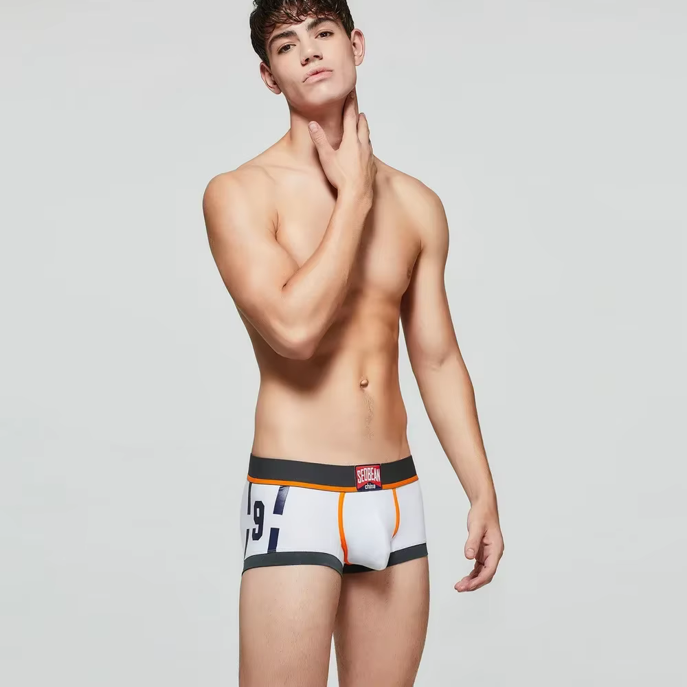 Sous-vêtements Boxy pour hommes, taille basse, pochette convexe en U, Boxer de sport, slim, en coton