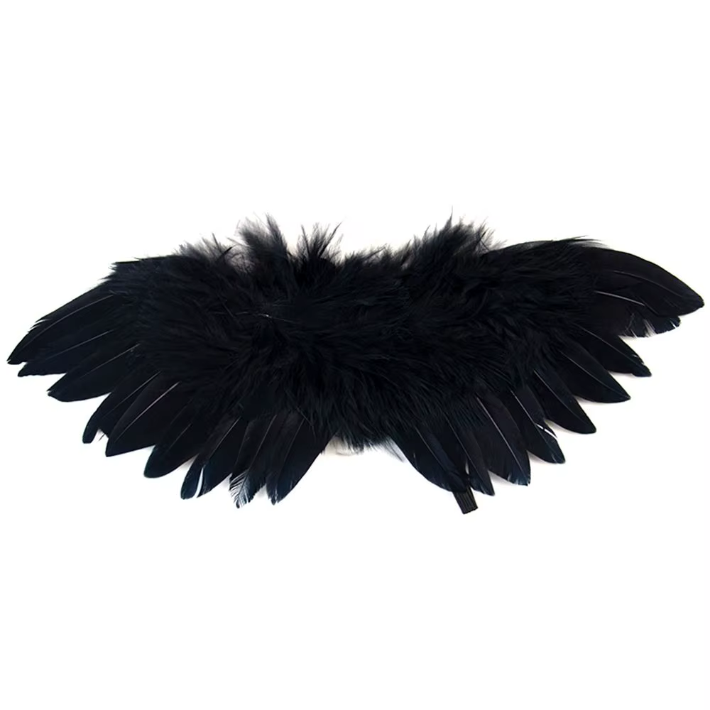Mini plumes noires pour bébé, bricolage pour nouveau-né/chien, ornements suspendus pour animaux de c