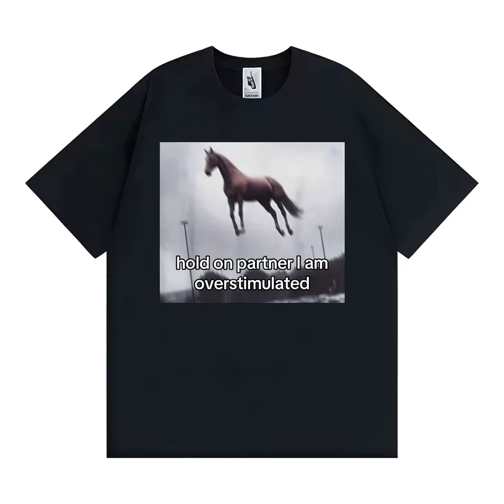 T-shirt humoristique « Hold on Partner I Am Overstimulated Horse » pour hommes et femmes, décontract