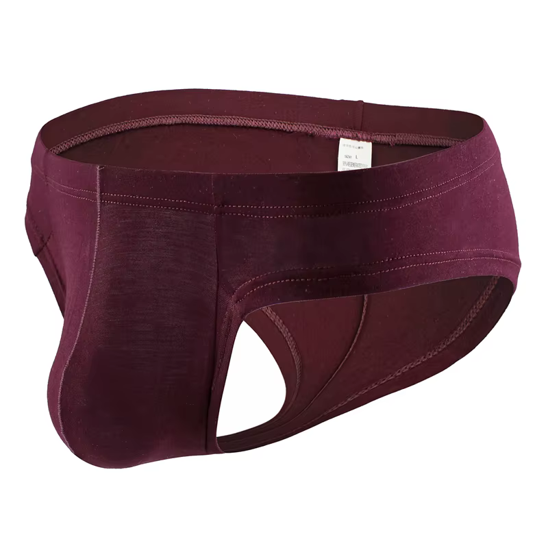 Boxer Sexy pour Homme, Sous-Vêtement Modal, Poudres de Pénis Bulge, Culotte, Zones, Lingerie Gay