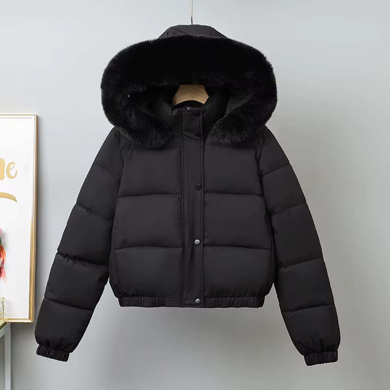 Manteaux courts pour femmes, Parkas à capuche, col en fourrure, vestes épaisses et chaudes, Streetwe