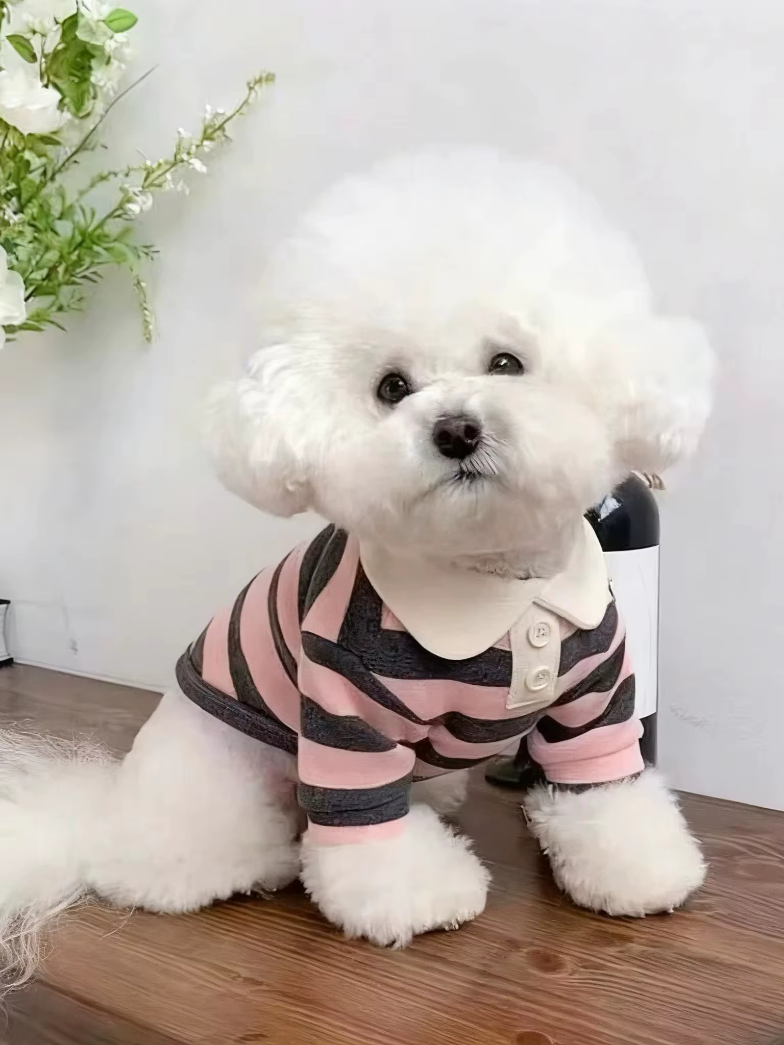 Vêtements pour chien Teddy York Shire, polo, robe d'été, t-shirt rayé pour animal de compagnie, cost