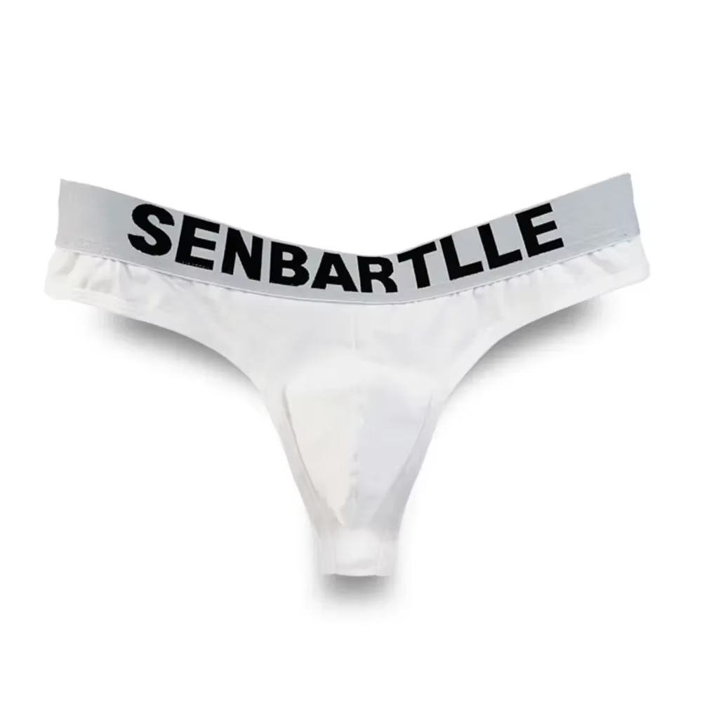 Sous-vêtements en coton Sexy pour hommes, slip taille basse, poche bombée, élastique, levage des han
