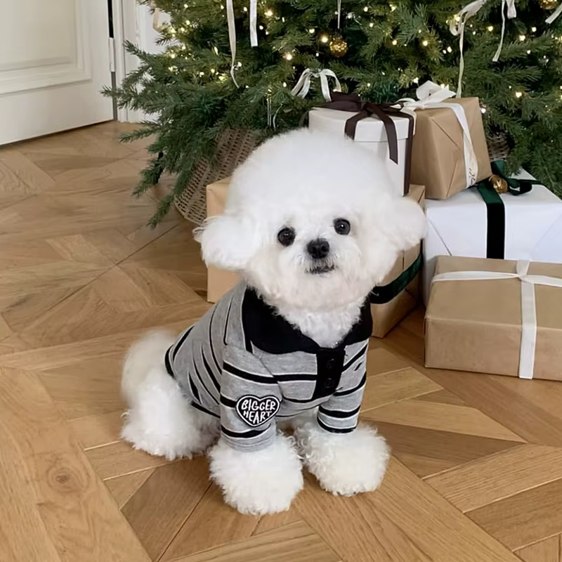 Chemise polo pour chien, chemise à col rayée tendance pour l'été, t-shirt pour chien et chat, gilet 