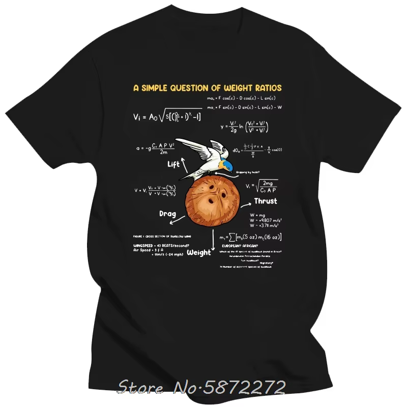 T-shirts pour hommes une question Simple professeur de mathématiques créatif Monty Python coton t-sh