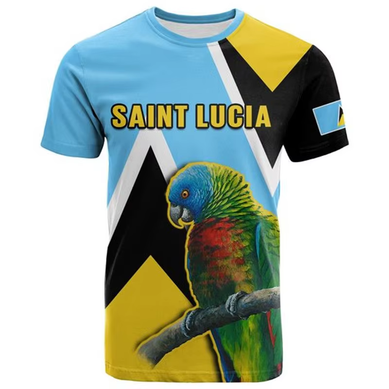 T-shirt de sport imprimé en 3D pour hommes, manches courtes, col rond, blason, sensation de Sainte-L